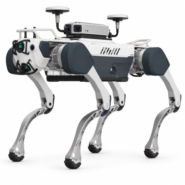 Deep Robotics X30 Fixposition VRTK RTK + Vision Solution
