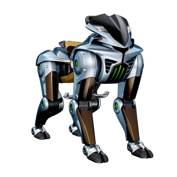 Kawasaki CORLEO